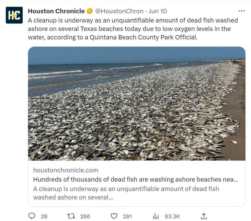金塔納海灘郡公園海灘上的大量魚屍。（圖／翻攝自推特）