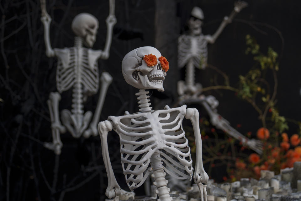 Human skeleton models decorated with flowers line up the entrance path to the West Side Hallo Fest, a Halloween festival in Bucharest, Romania, Friday, Oct. 27, 2023. Tens of thousands streamed last weekend to Bucharest's Angels' Island peninsula for what was the biggest Halloween festival in the Eastern European nation since the fall of Communism. (AP Photo/Vadim Ghirda)