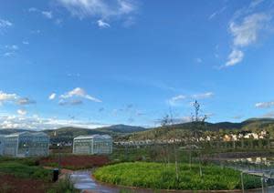 Greenhouses at the site of the Smart Agri Competition in Kunming, Yunnan.
