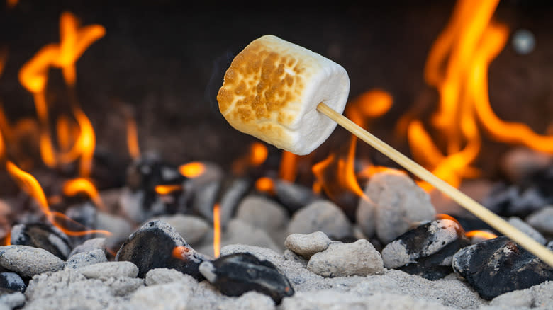 Marshmallows over fire on stick