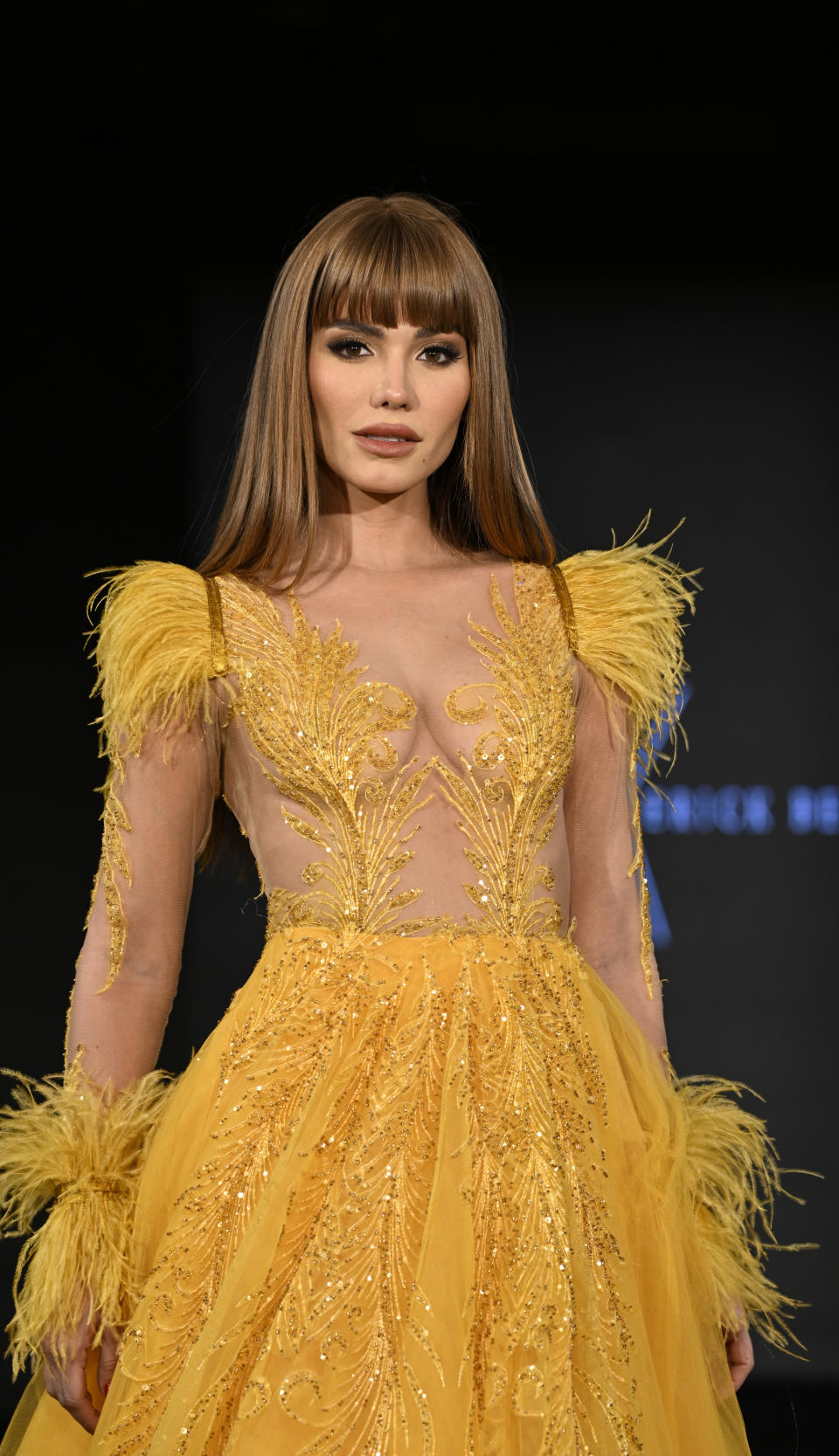 NEW YORK, NEW YORK - FEBRUARY 12: Aleska Genesis walks the runway at the Passarellas x Erick Bendaña show during New York Fashion Week: The Shows, powered by Art Hearts Fashion, at The Angel Orensanz Foundation on February 12, 2023 in New York City. (Photo by Arun Nevader/Getty Images for Art Hearts Fashion)