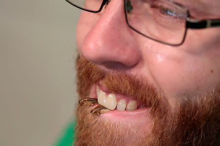 Robert Allen, co-founder of the Austin, Texas based Little Herds, a non-profit founded to educate the public about the benefits of insects as food and feed, holds freeze-dried crickets between his teeth during a 'Eating Insects Detroit: Exploring the Culture of Insects as Food and Feed' conference at Wayne State University in Detroit, Michigan May 26, 2016. REUTERS/Rebecca Cook