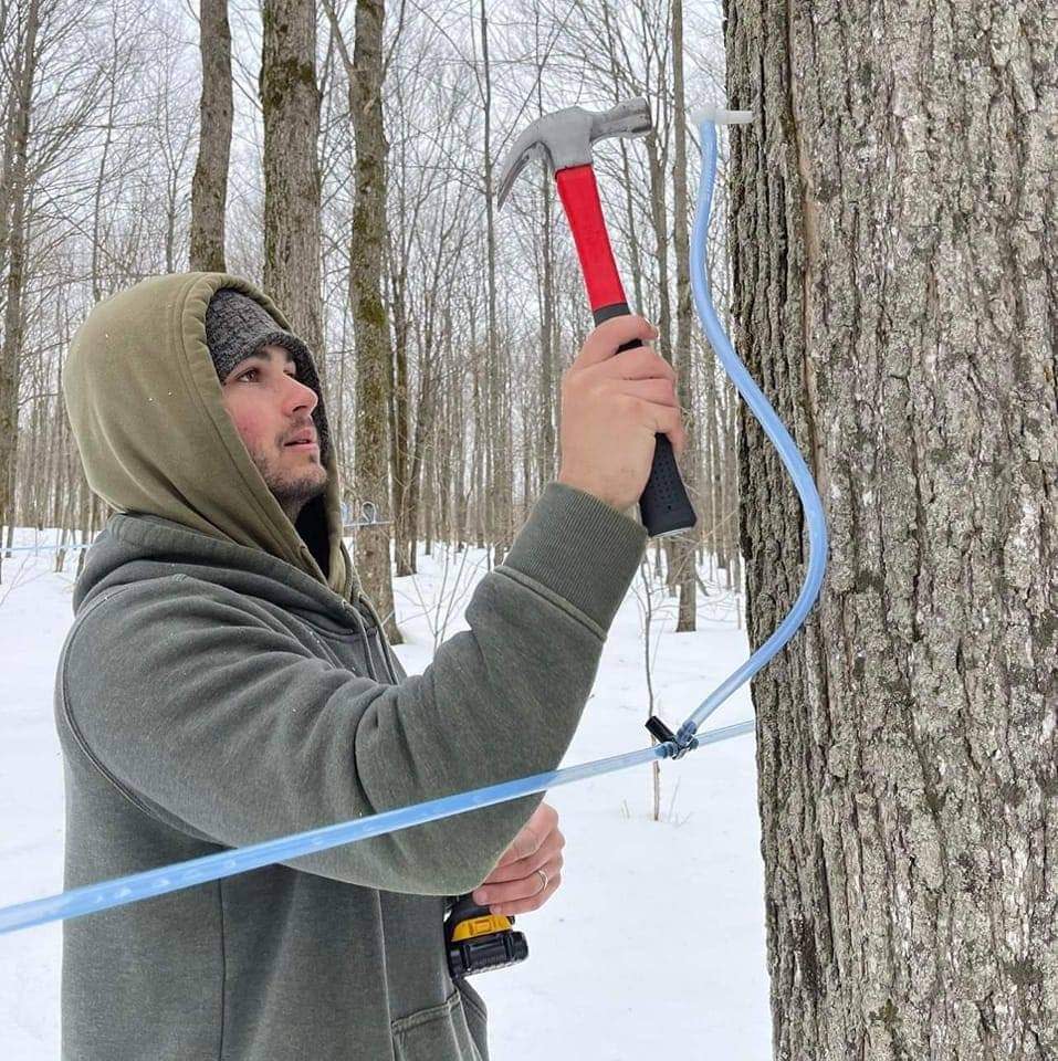 Dakota Gavin of Simply Syrup Maple Products in Andover taps a tree. The business helped supply Kent Beer Company with the ingredients for its new Sugar Shack Maple Amber being released March 23.
