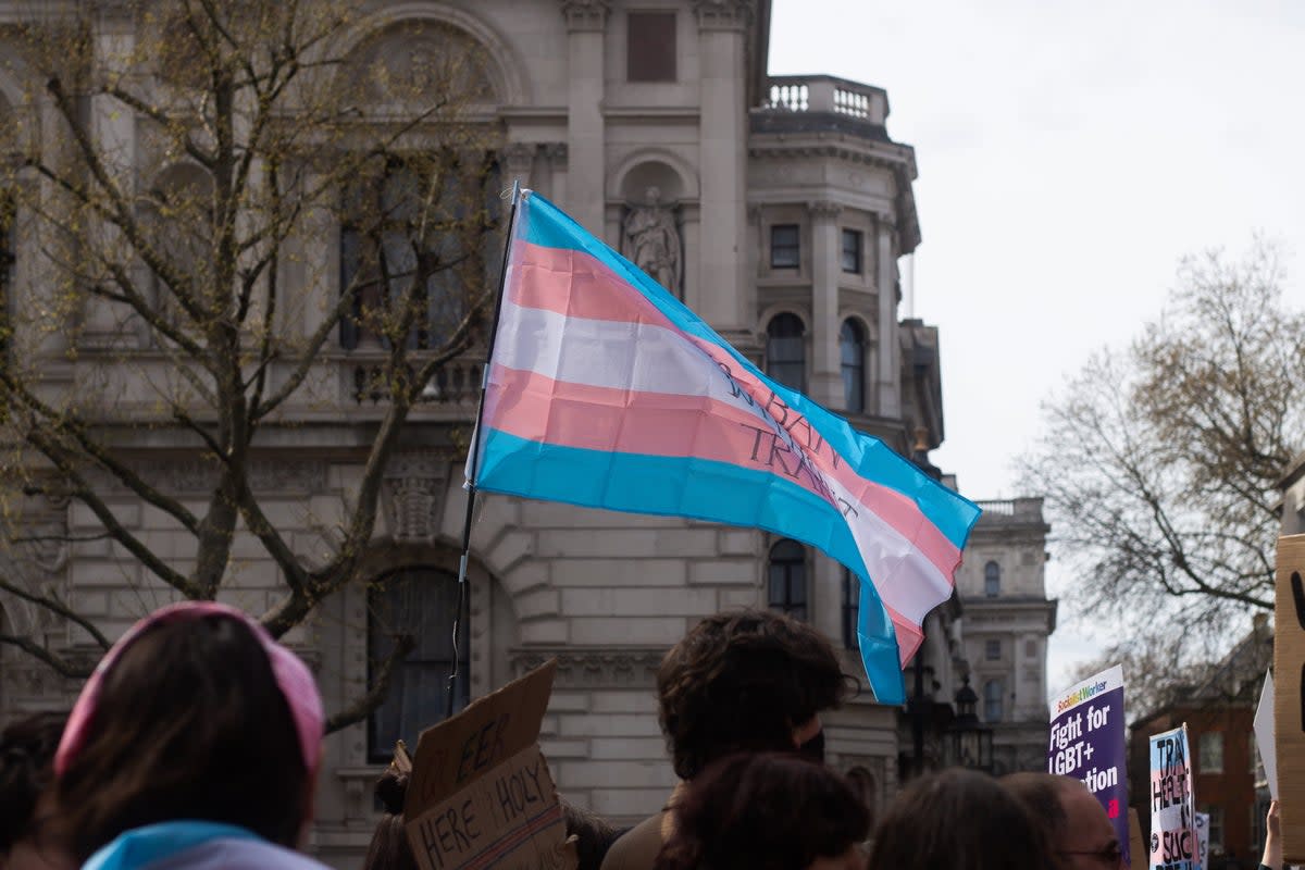 Trans Awareness Week advocates for the trans community (Karollyne Hubert / Unsplash)