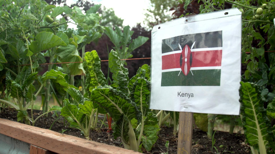 Signs show the different regions that plants and their growers come from.  (Adam Kaufman)