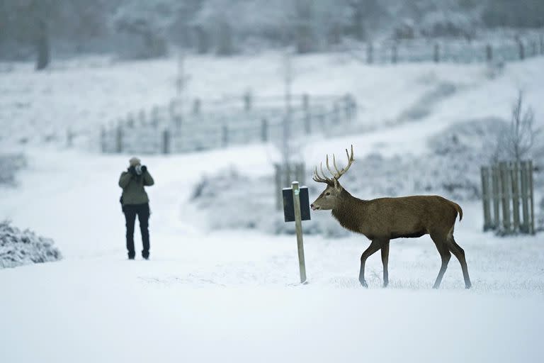 Londres; nieve; uk;  Mundo;