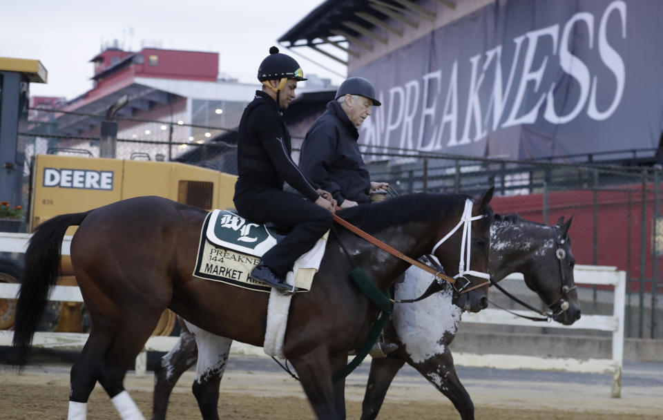 Market King heads back to the barn after a light workout as the field is prepared for the running of the 144th Preakness horse race at Pimlico race track in Baltimore, Md., Saturday, May 18, 2019. (AP Photo/Steve Helber)