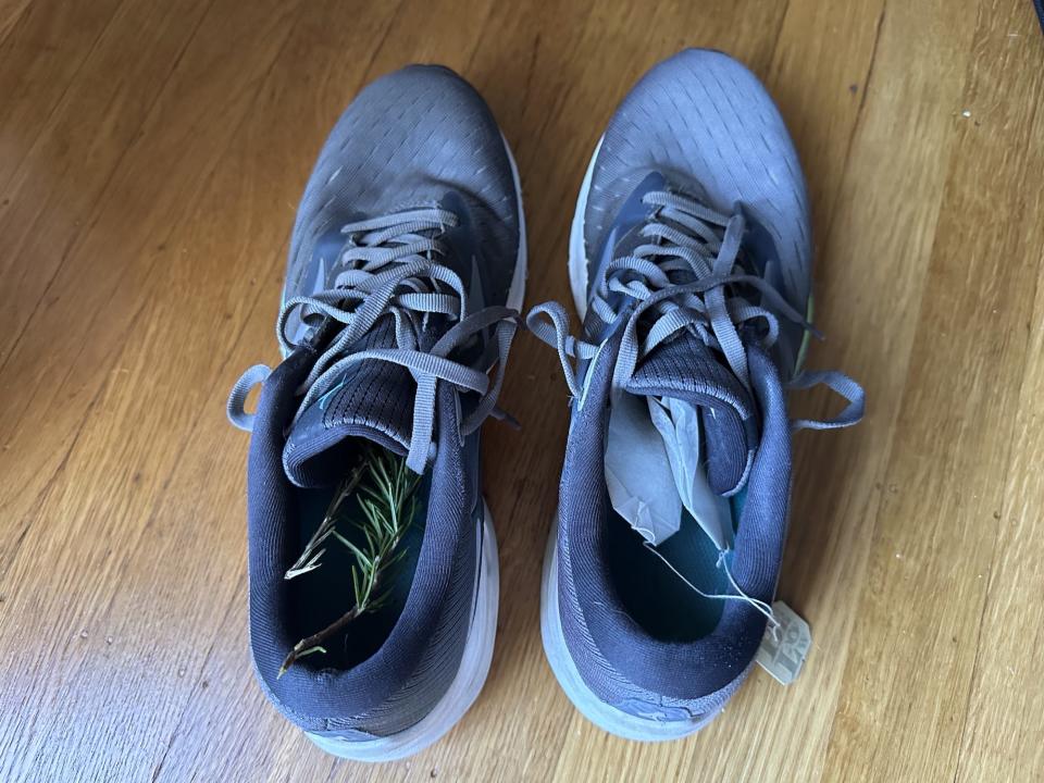 pair of grey running shoes on a hardwood floor with rosemary in one shoe and two tea bags in another