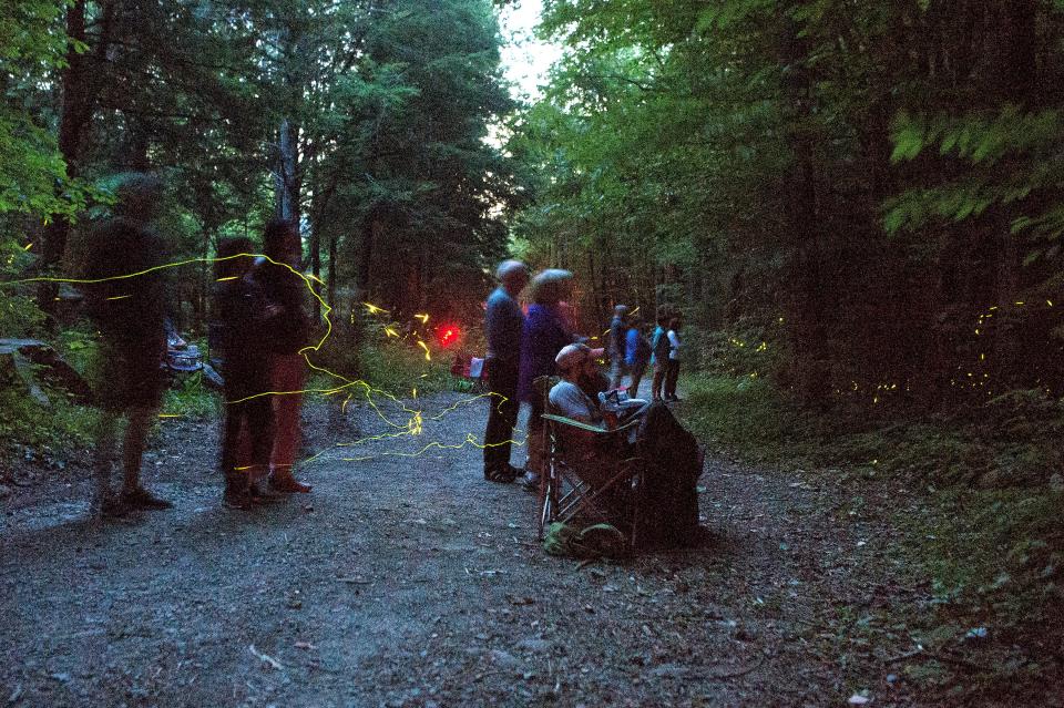 Visitors watch the synchronous fireflies at the Elkmont Campground in the Great Smoky Mountains National Park on June 3, 2019. Between 980 and 1100 come to the campground to watch the phenomenon each night of the 8-day mating period. 