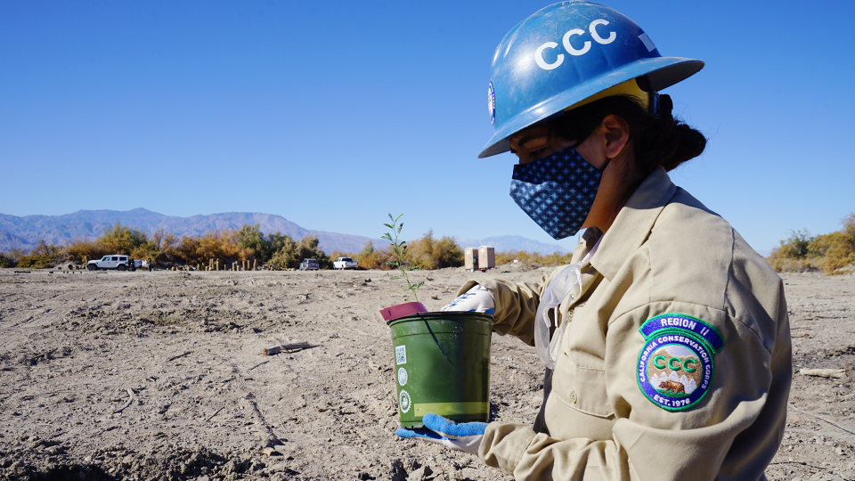 Corps member Ariana Galindo prepares to plant a native tree on Torres Martinez land.