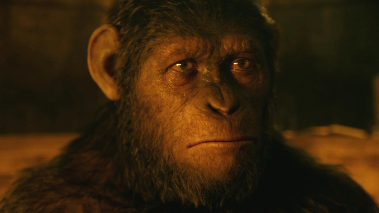  Caesar stands lit by dusk with an expression of concern in Dawn of the Planet of the Apes. 