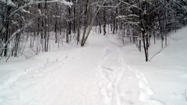 Twice this winter showshoers have become lost in Gatineau Park.