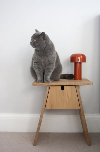 Architect Elle Bytautaite lives in the apartment with her cat, Tony.