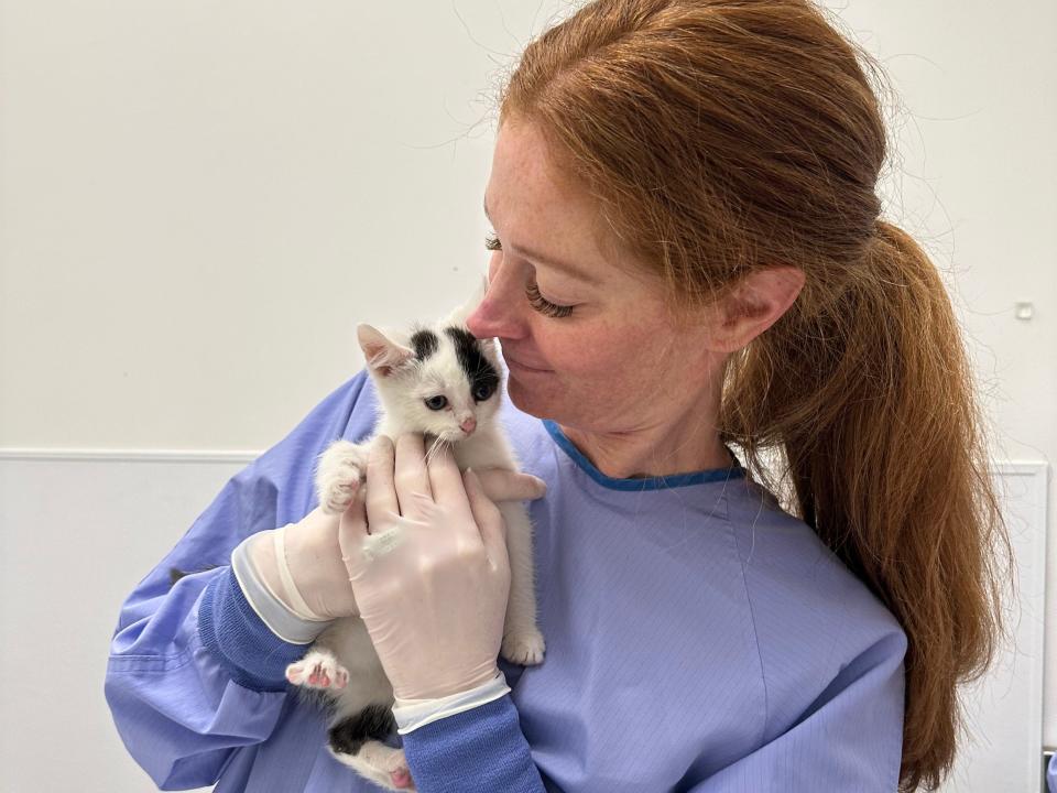 Dr. Emily Yacker with Casper during his check-up at PAWS Chicago.