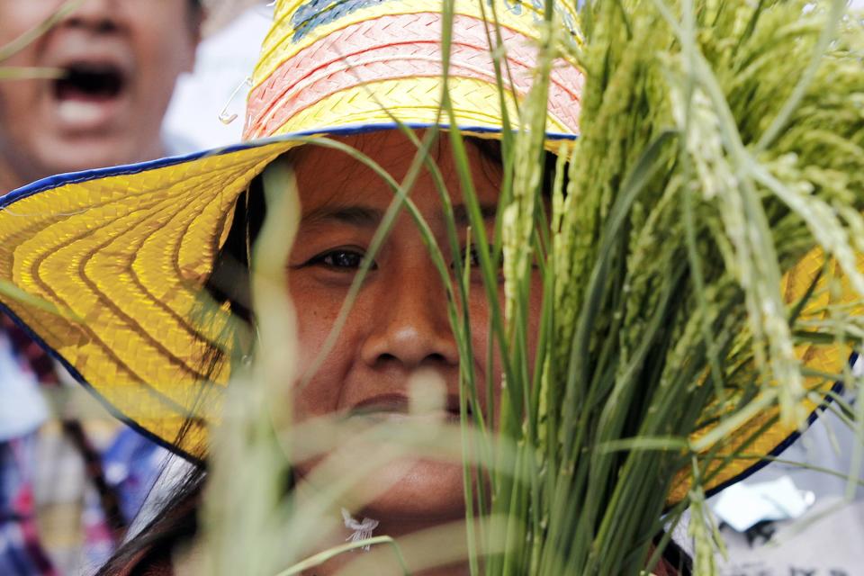 Farmers protest outside the temporary office of Thai PM Yingluck in Bangkok