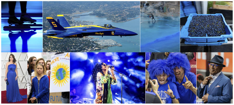 This combination of photos shows, top row from left, Blue light projected during the opening ceremony of the ISU World Championships Speed Skating Sprint in the Netherlands, on Feb. 23, 2019, U.S. Navy Blue Angel flying over Sausalito, Calif., on Oct. 10, 2019, Police firing blue-colored water at protestors in Hong Kong on Aug. 31, 2019, a tray of wild blueberries at the Coastal Blueberry Service in Union, Maine on Aug. 24, 2018, bottom row from left, actress-writer Tina Fey wearing a blue gown at the Oscars on Feb. 24, 2019, Swedish youth climate activist Greta Thunberg, wearing a blue sweatshirt, during a protest outside the White House in Washington on Sept. 13, 2019, H.E.R. performing under blue lights at the Coachella Music & Arts Festival in Indio, Calif. on April 14, 2019, Duke fans wearing blue wigs before an NCAA college basketball game against Florida State in Tallahassee, Fla., on Jan. 12, 2019 and "Today" show co-host Al Roker wearing blue eye glasses on the set in New York on April 5, 2019. The Pantone Color Institute has named Classic Blue as its color of the year for 2020. (AP Photo)