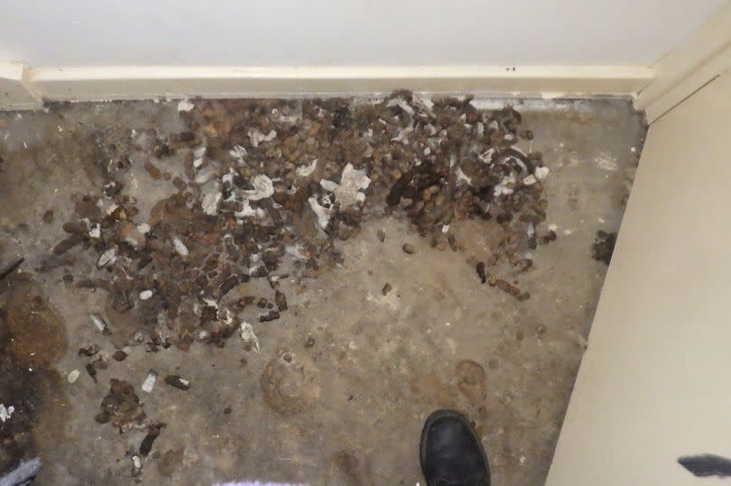 Faeces were strewn about the flat