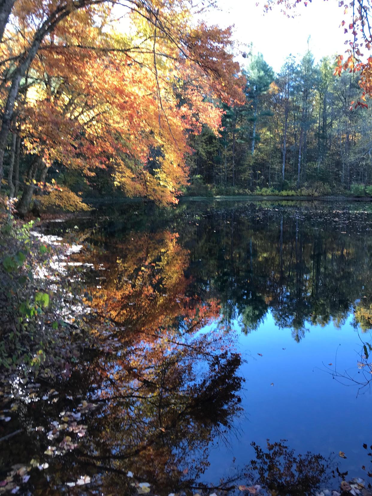 Frosty Hollow Pond in Exeter is tranquil in the fall but busy in the spring when youngsters are casting for trout.