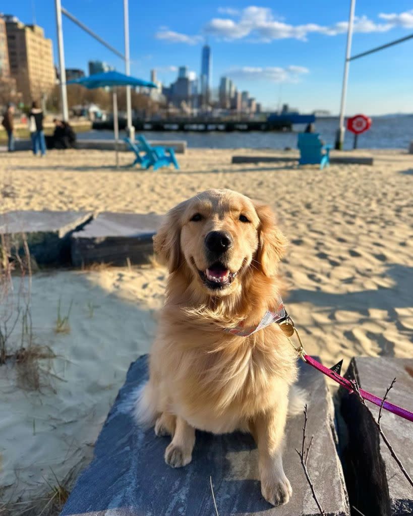 New Yorkers are loving having a beach in the middle of the city. @havensgoldendays/ Instagram