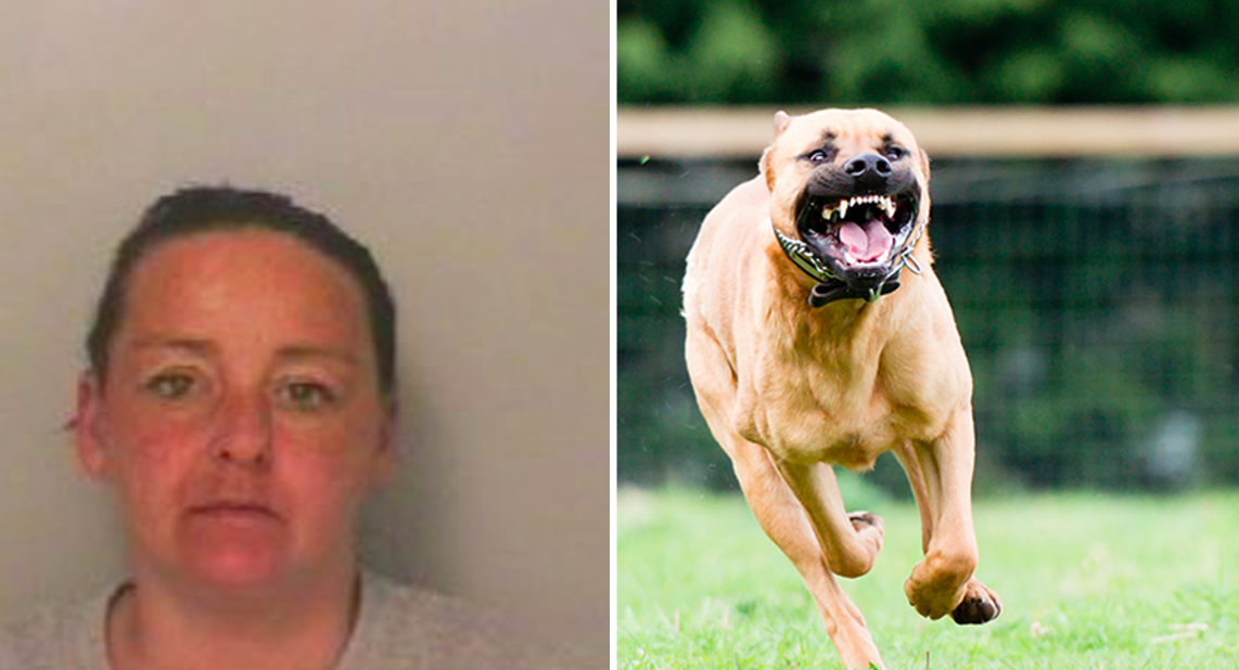 <em>Claire Neal allowed her Staffordshire bull terrier (not pictured) to escape and attack 12 children (Getty/stock photo)</em>