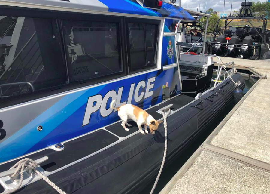 Charlie onboard the police vessel. Source: Queensland Police