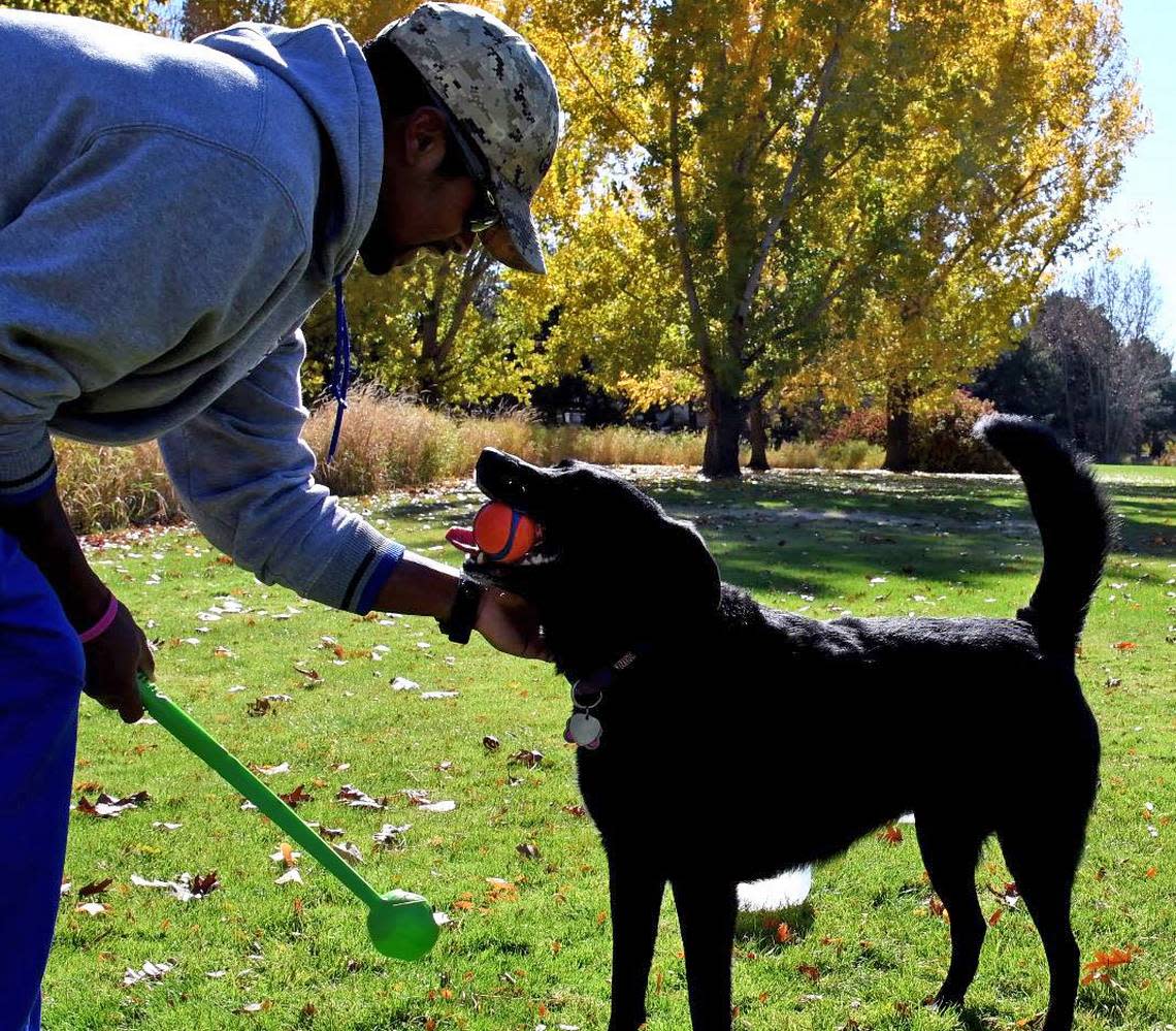 Let ‘em loose! Dogs can frolic without a leash at Ann Morrison Park for the next few months.