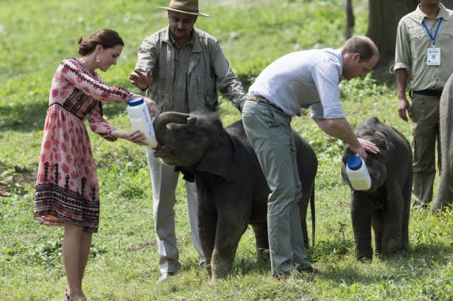 Kate Middleton and Prince William feed baby elephants and rhinos in India