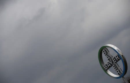 FILE PHOTO: A logo of Bayer is seen next to dark clouds at Cologne Bonn airport 
 March 27, 2015.    REUTERS/Wolfgang Rattay