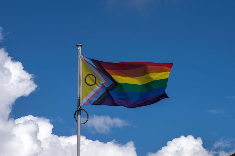 Braverman said the Progress flag represented ‘a horrible political campaign I disagreed with’ (Alamy/PA)