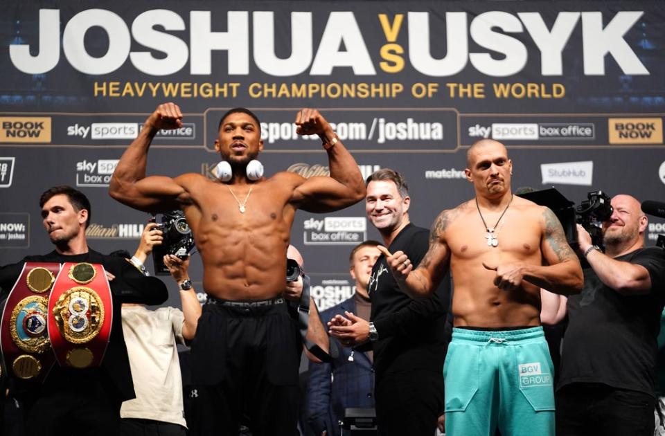 Anthony Joshua (left) and Oleksandr Usyk (right) are in Fury’s firing line (Zac Goodwin/PA) (PA Wire)