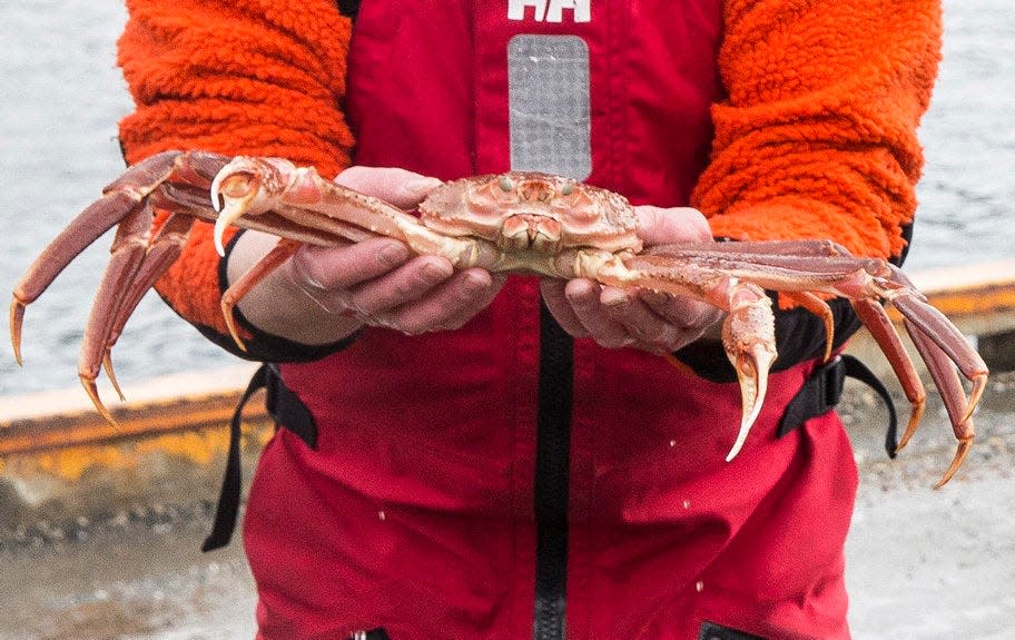 fisherman in red jumpsuit holds up snow crab