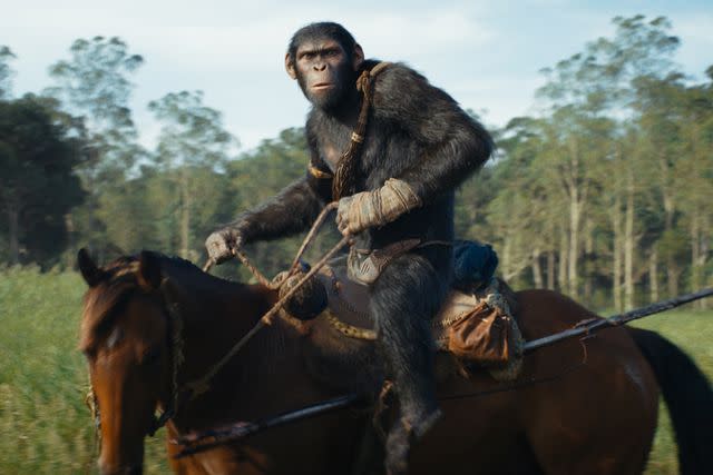 <p>20th Century Studios</p> "Kingdom of the Planet of the Apes"