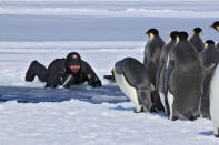 <b>Frozen Planet, BBC One, Wed, 9pm</b><br><b>Episode 4</b><br><br>Didier Noirot with emperor penguins on ice. They are returning to breed at Cape Washington, Antarctic continent. The team used a range of cameras to capture this spectacular moment - from a polecam positioned just under the ice edge to a hi-speed camera above the ice. The difficulty was predicting where exactly the penguins would emerge. The largest penguin on earth seemed completely unphased by Didier and was often keen to take a closer look at the cameras.