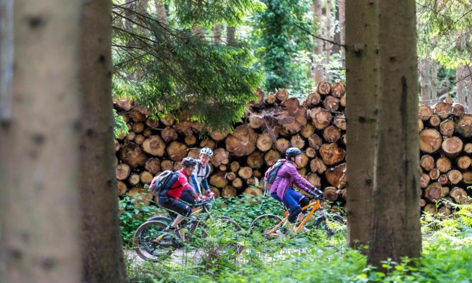 Mountain biking in the Forest of Dean