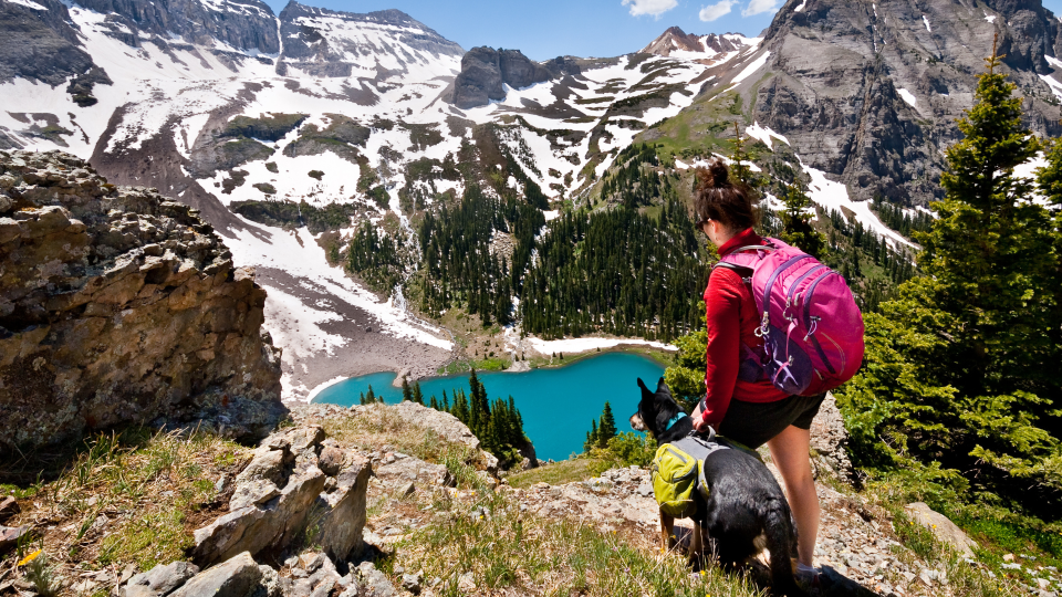  Woman hiking with a dog in the mountains overlooking a lake. 