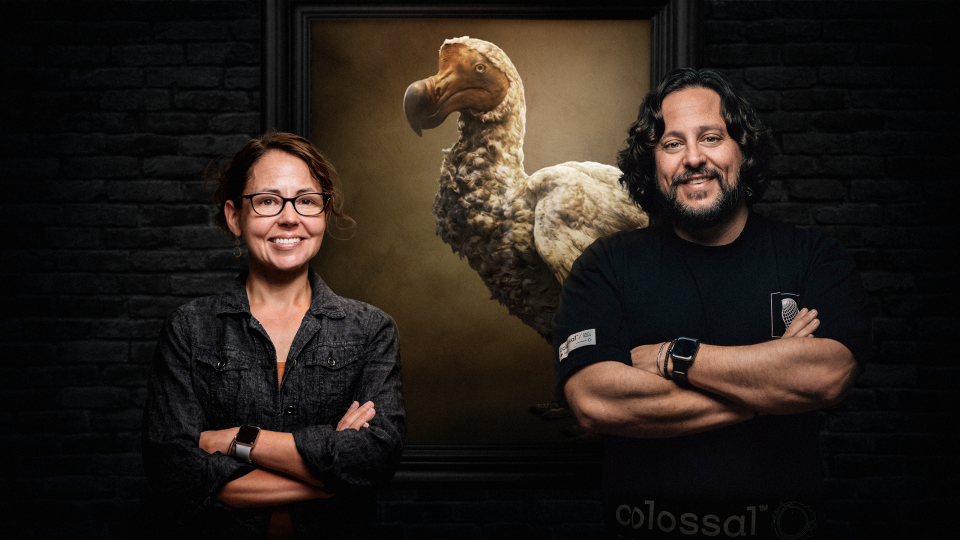 Paleogeneticist Beth Shapiro, at left, and Ben Lamm, co-founder and CEO of Colossal Biosciences, with an image of the dodo, an extinct bird that Colossal has announced it hopes to bring back with its biotech and genetic technology.
