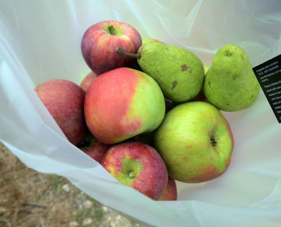 Apples and pears from Holmberg Orchards in Gales Ferry.