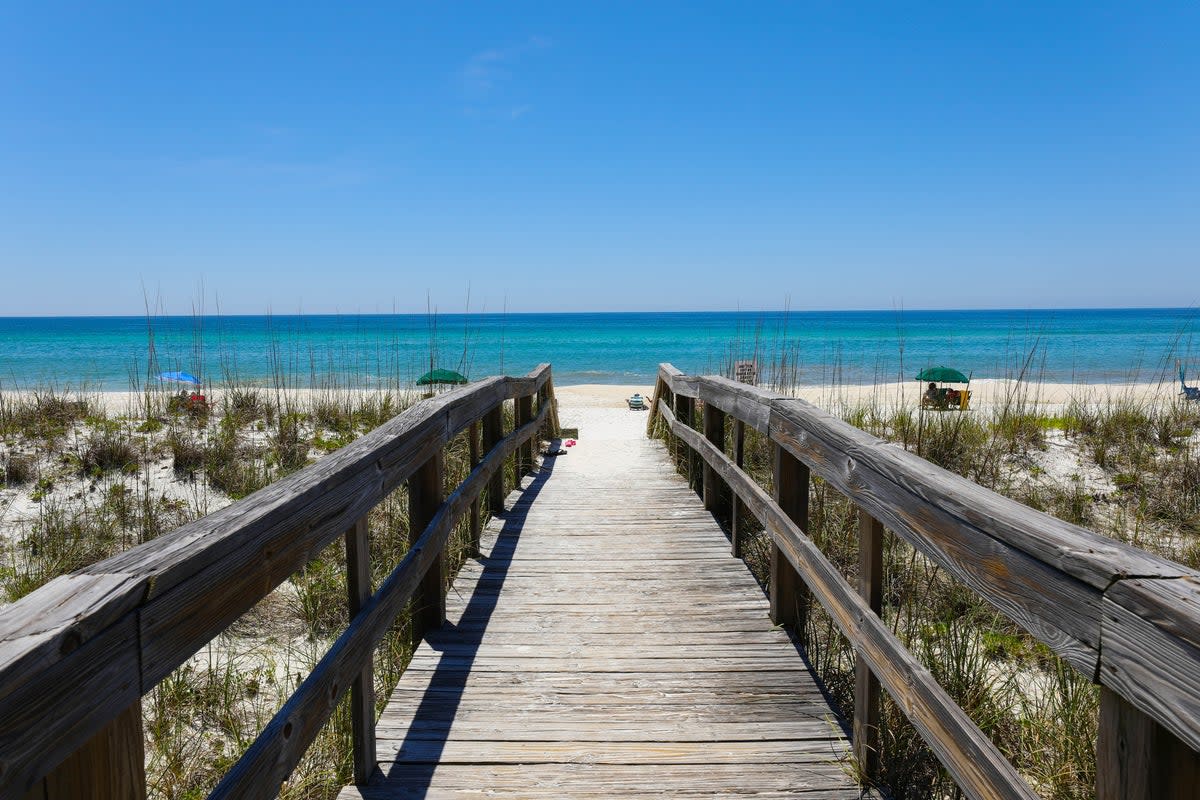 There’s almost 2,000 metres of shoreline within Henderson Beach State Park (Getty Images/iStockphoto)