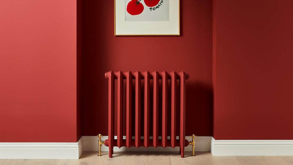 Colour psychologist Tash Bradley says Red HTK 57 would make “an amazing accent colour