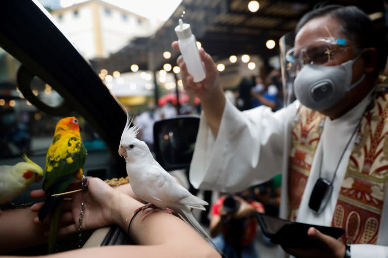 Drive-thru pet blessing on World Animal Day amid coronavirus outbreak