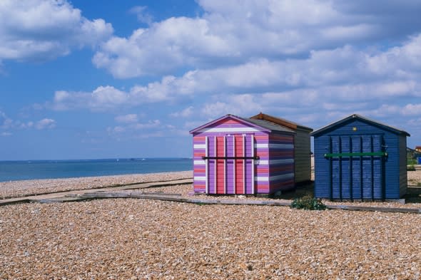 sewage-dead-rats-wash-up-hayling-beach