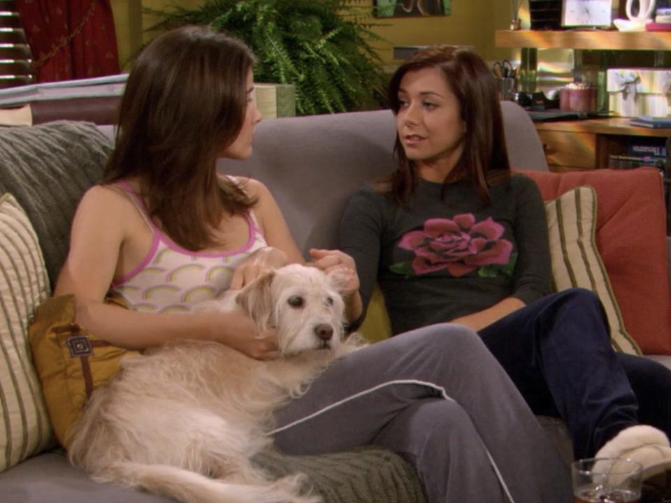 how i met your mother plot holes lily dog