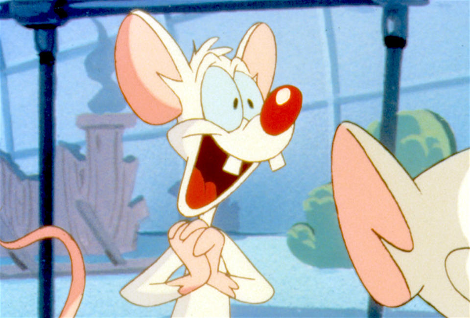 16. Pinky, Animaniacs/Pinky and the Brain