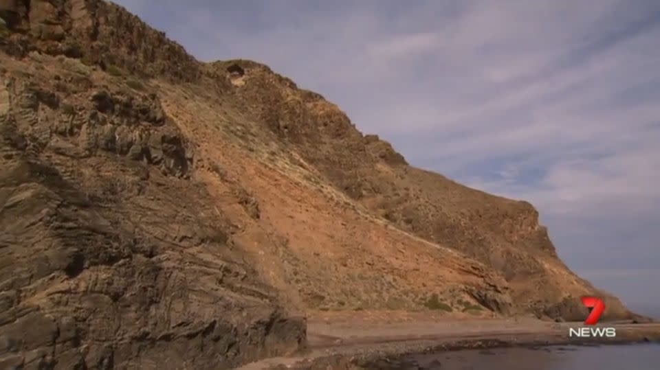 The cliff face where the boys were stranded for three hours. Photo: 7 News