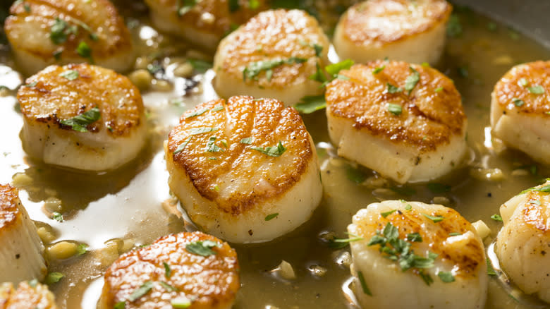 pan seared sea scallops