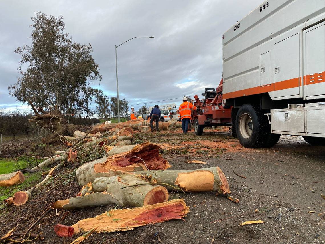 Two people died in a chain-reaction collision on northbound Highway 99 in Goshen, California, on Tuesday, Jan. 10, 2023, after lightning struck a tree, causing it to fall on traffic.