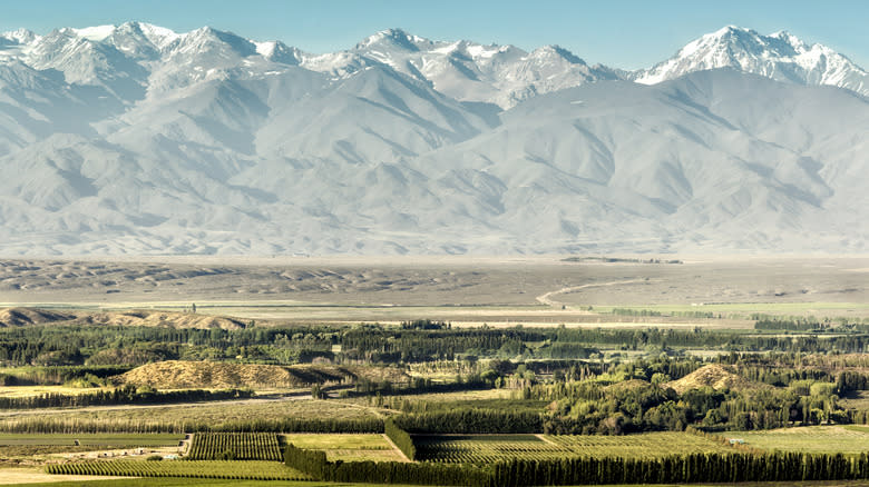 Argentina's Uco Valley