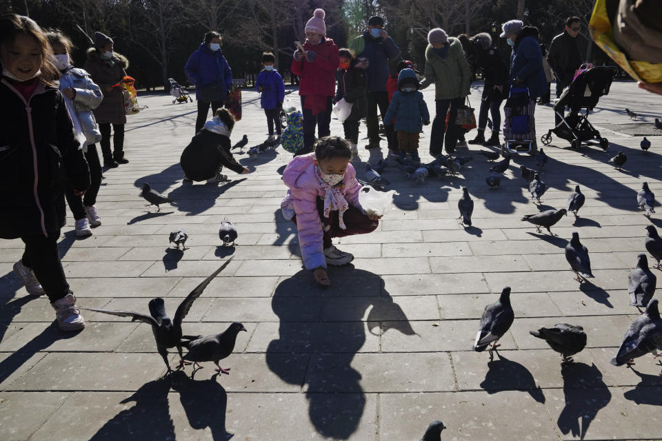 A child feeds pigeons at a park in Beijing, China, Thursday, Jan. 13, 2022. The number of babies born in China continued to shrink last year in a decade-long trend, official data showed Monday, Jan. 17, as a declining workforce adds pressure to the ruling Communist Party's ambitions to boost national wealth and global influence. (AP Photo/Ng Han Guan)