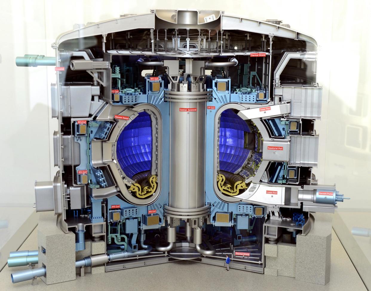 A model of the future Iter nuclear reactor that EuroFusion is helping to build: AFP