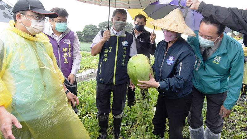 彰化縣西瓜災損8成　縣府爭取中央列災害補償區域